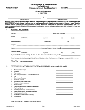 Massachusetts Long Form Financial Statement