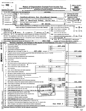 IRS Form 990 2002