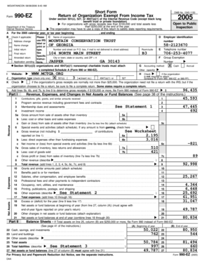 Form 990-EZ Tax Return