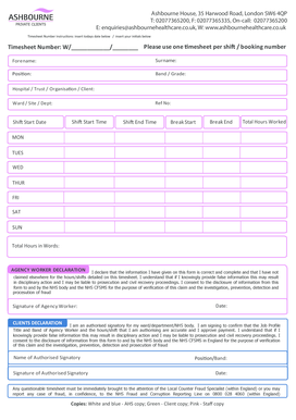 Agency Worker Timesheet