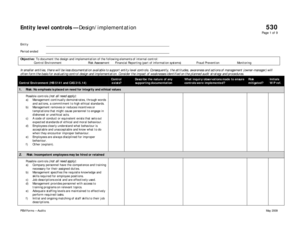 Entity Level Controls Design Implementation Audit Form