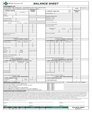 Balance Sheet Statement