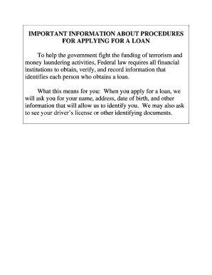 Consumer Loan Application Form