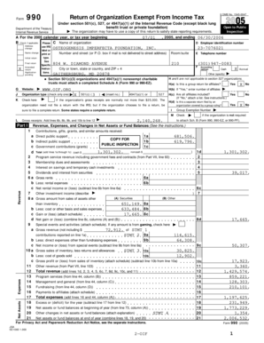 Form 990 Return of Organization Exempt From Income Tax