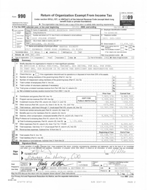 Form 990 2009