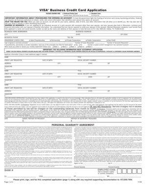 VISA Business Credit Card Application