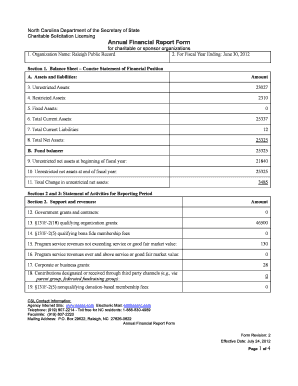 Annual Financial Report Form - Raleigh Public Record - raleighpublicrecord