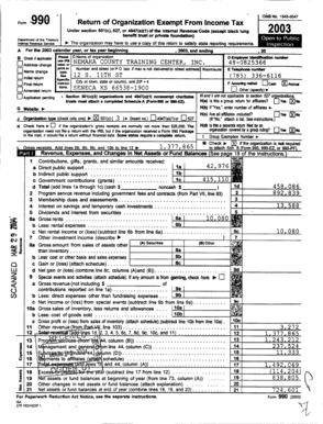 Form 990 2003