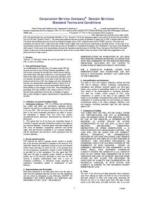 CSC Domain Services Agreement