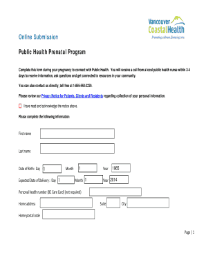 Public Health Prenatal Program Form