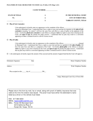 Texas Plea Form