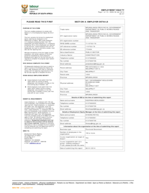 South Africa Employment Equity Report Form EEA2