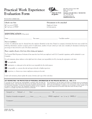 Practical Work Experience Evaluation Form