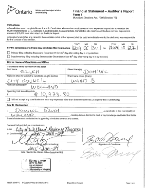 Ontario Municipal Election Financial Statement