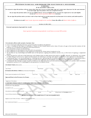 PRIMARY DESIGNATION PETITION