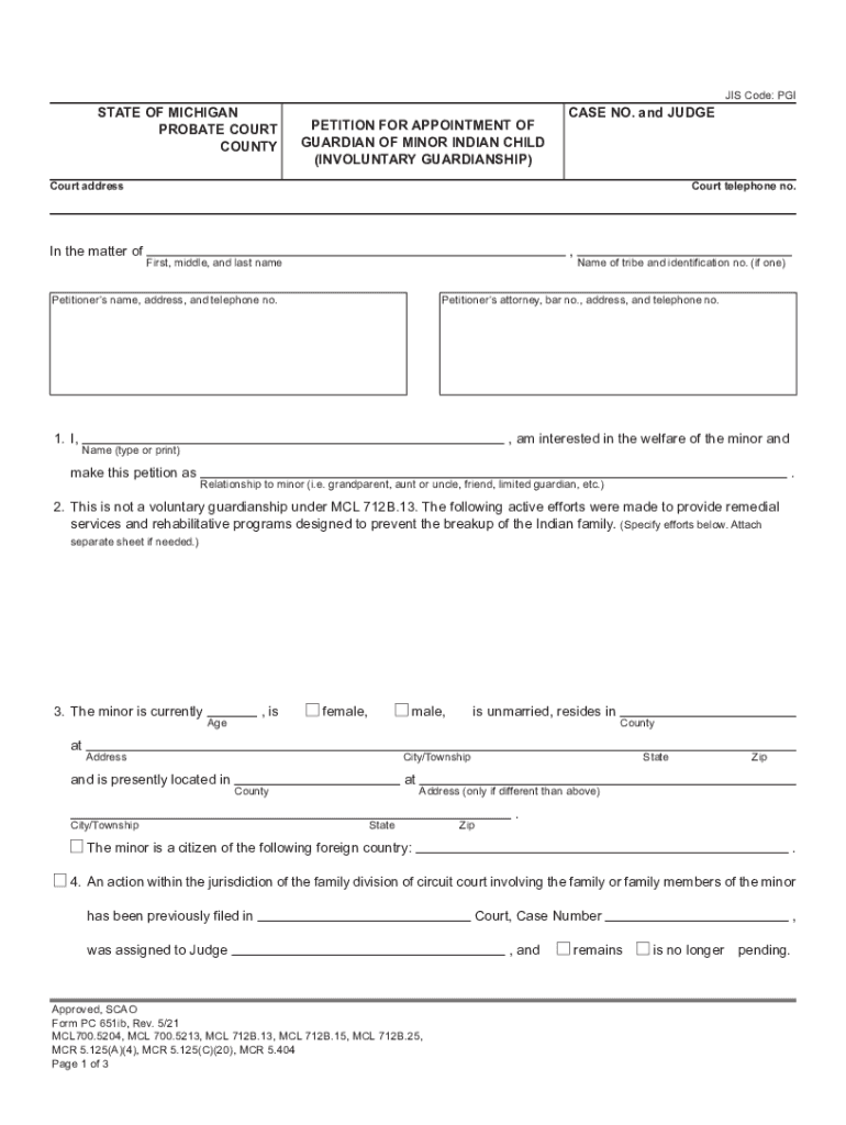 application for appointment of guardian of minor format Preview on Page 1