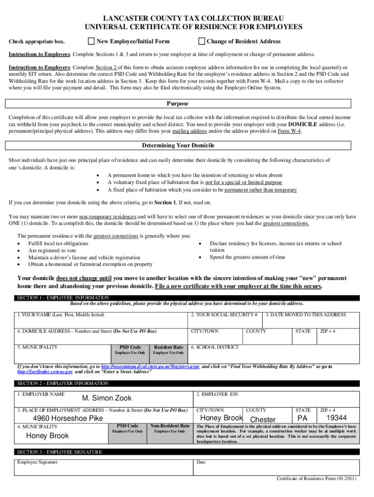 Form preview