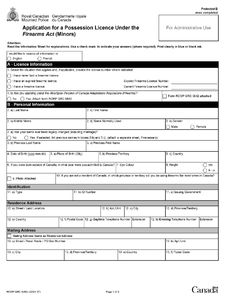 possession licence firearms minors Preview on Page 1