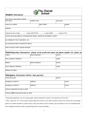 Form preview