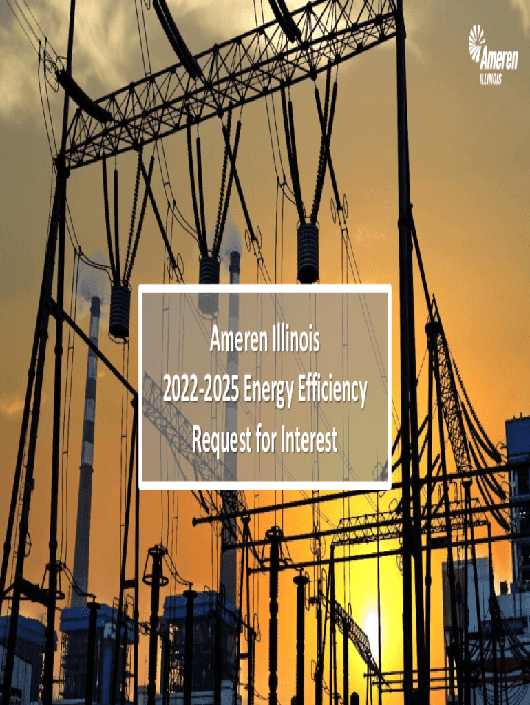 Fillable Online PDF Ameren Illinois 20222025 Energy Efficiency Request