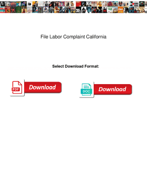 File Labor Complaint California. File Labor Complaint California reliable