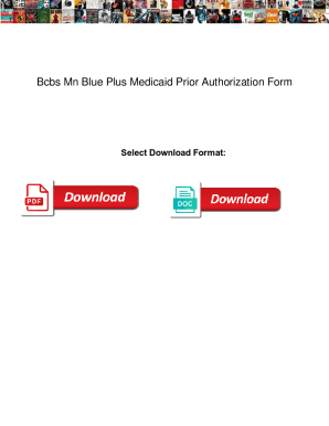 Fillable Online Bcbs Mn Blue Plus Medicaid Prior Authorization Form ...