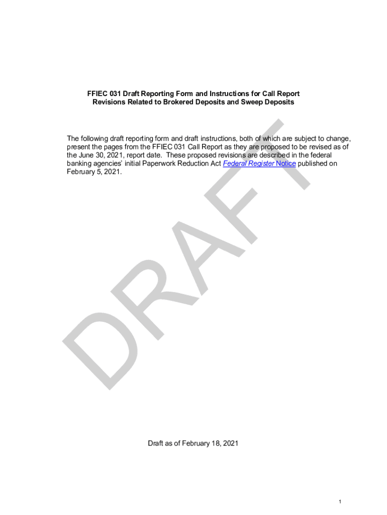 fillable-online-ffiec-031-draft-reporting-form-and-instructions-for