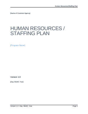 M3 Playbook HR Staffing Plan TemplateHuman Resources ...