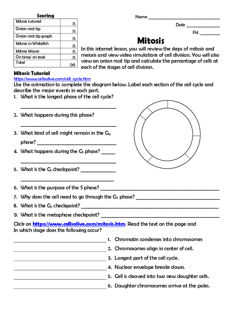 Fillable Online Mitosis In Whitefish And Onion Roots Worksheet Answer
