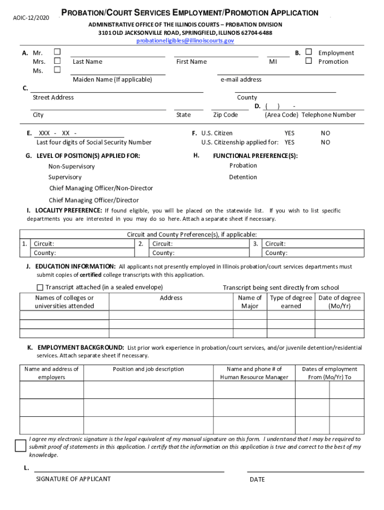 PDF Illinois Probation Court Services Employment Promotion Application Preview on Page 1