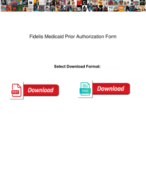 Fillable Online Fidelis Medicaid Prior Authorization Form. Fidelis ...