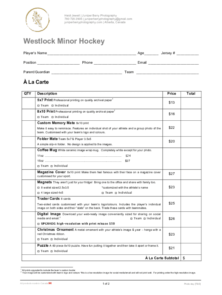 Form preview