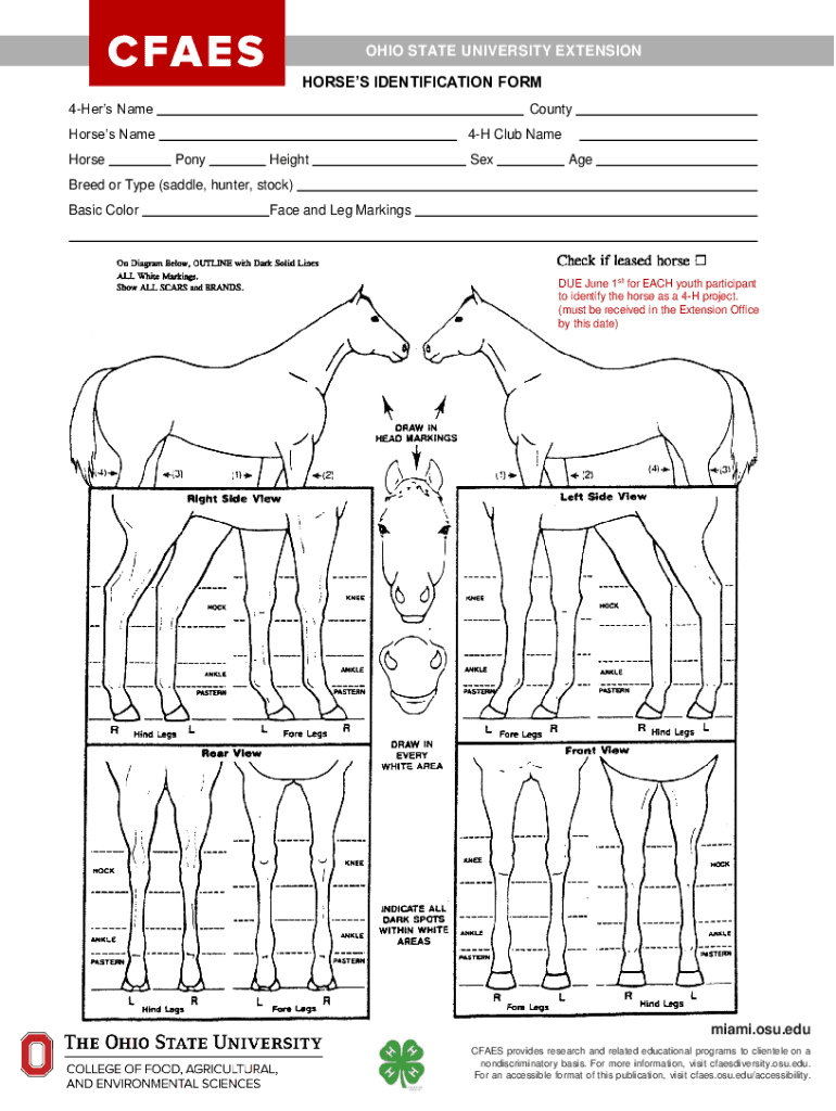 horse identification chart Preview on Page 1