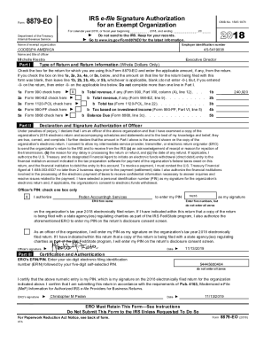 Fillable Online Fillable Online IRS e-file Signature ... - pdfFiller ...