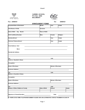 Form preview