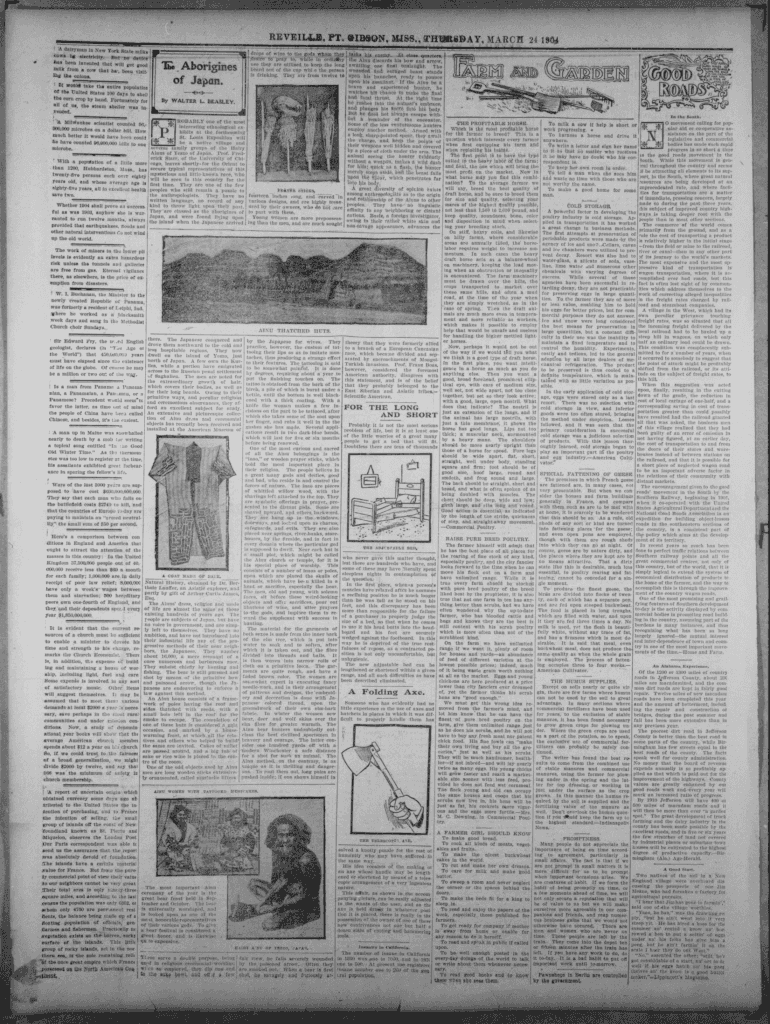 Fillable Online chroniclingamerica loc The Port Gibson reveille (Port