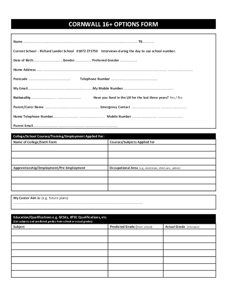Form preview