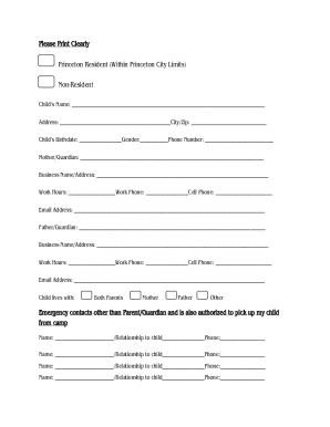 Form preview
