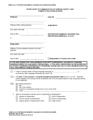Form 10.01-D Petition for Domestic Violence Civil Protection Order