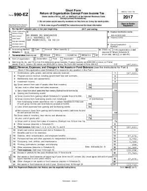 Fillable Online NMNW 2017 Tax Return Fax Email Print - pdfFiller