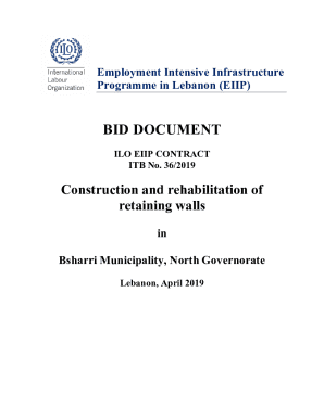 The Employment Intensive Infrastructure Programme in ... - ILO