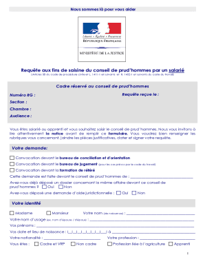 Fillable Online Requte aux fins de saisine du conseil de ...