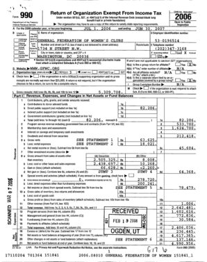 IRS Form 990 2006