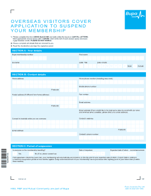 Form preview picture