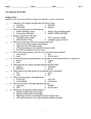 PreAP Biology Chapter 8 Review Quiz