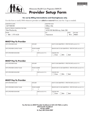 Minnesota Provider Setup Form