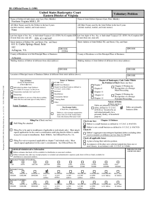US Bankruptcy Court Voluntary Petition