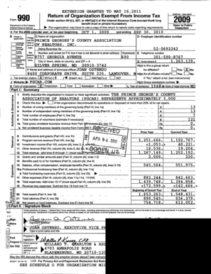 Form 990 2009