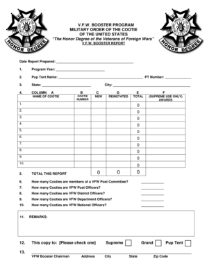 VFW Booster Report Form