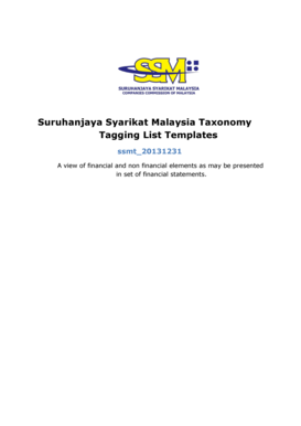 Malaysia Financial Statements Template